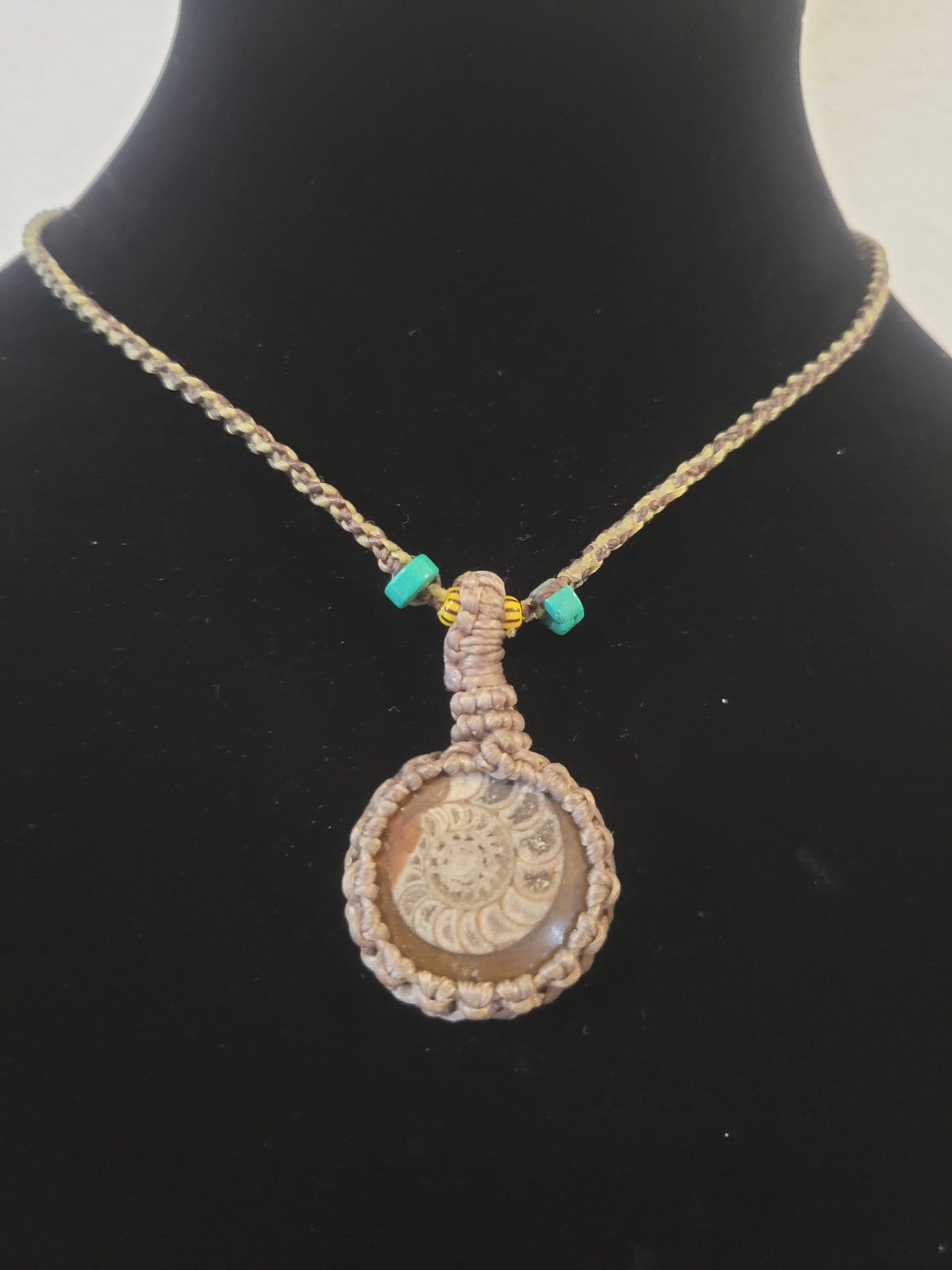 Ancient Echoes: Fossil Ammonite Pendant Necklace