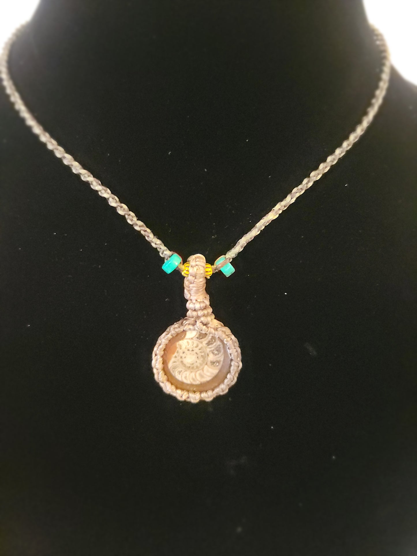 Ancient Echoes: Fossil Ammonite Pendant Necklace