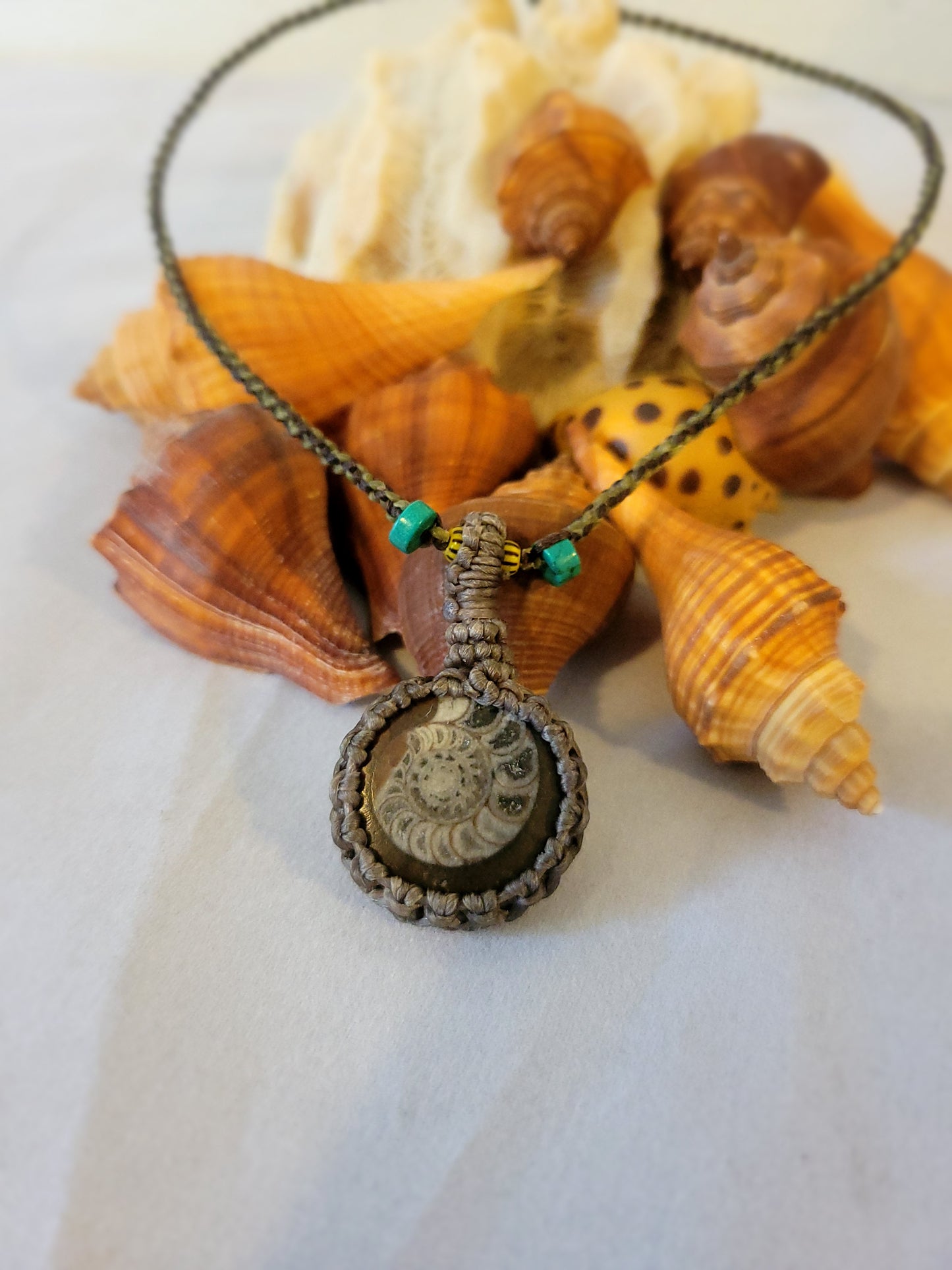 Ancient Echoes: Fossil Ammonite Pendant Necklace